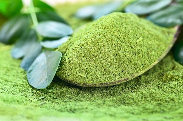 The Growing Power of Moringa: Nature’s Green Superfood Revolution in Australia